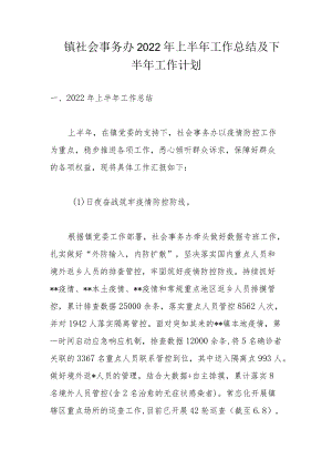 镇社会事务办2022上半工作总结及下半工作计划.docx