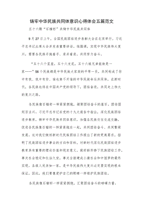 铸牢中华民族共同体意识心得体会五篇范文.docx