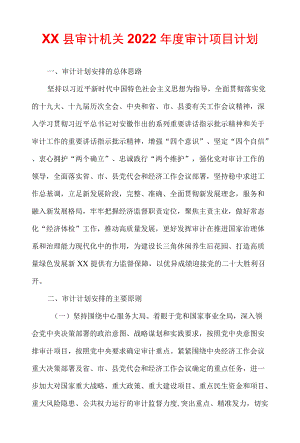 xx县审计机关2022审计项目计划.docx