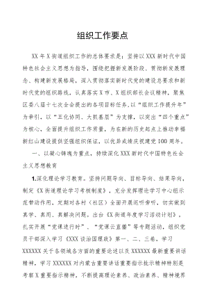XX组织工作要点（乡镇街道）.docx