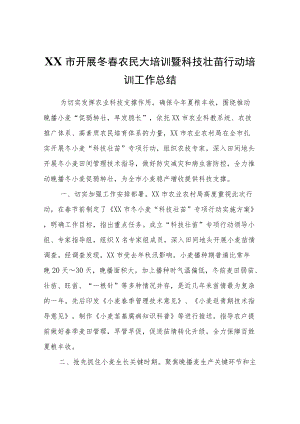 XX市开展冬春农民大培训暨科技壮苗行动培训工作总结.docx