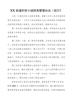 XX街道村民小组财务管理办法.docx