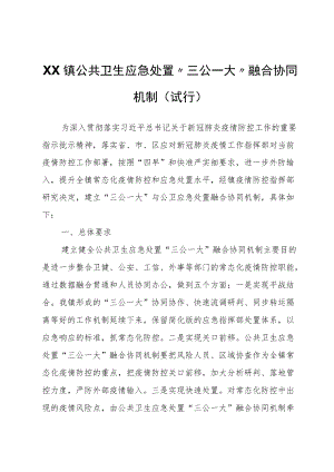 XX镇公共卫生应急处置“三公一大”融合协同机制（试行）.docx