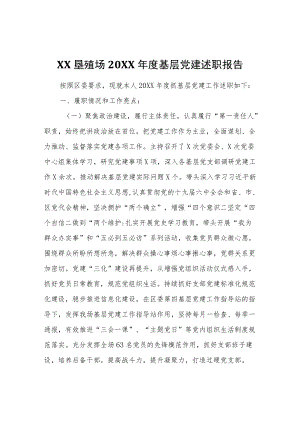 2021基层党建述职报告.docx