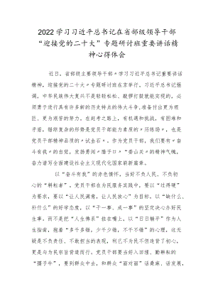 2022学习省部级领导干部“迎接党的二十大”专题研讨班重要讲话精神心得体会四.docx