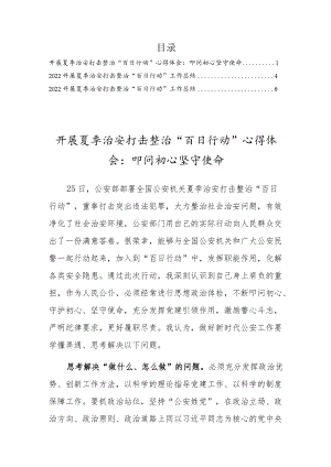 2022开展夏季治安打击整治”百日行动“工作总结三篇（推荐）.docx