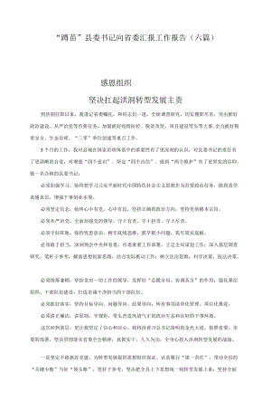 “蹲苗”县委书记向省委汇报工作报告（六篇）(1).docx