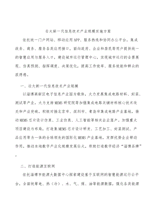 壮大新一代信息技术产业规模实施方案.docx