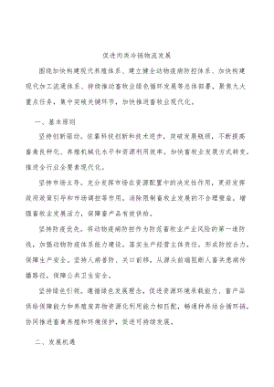 促进肉类冷链物流发展.docx
