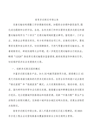培育多式联运市场主体.docx