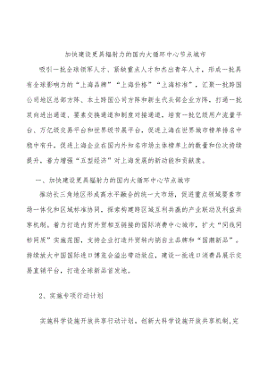 加快建设更具辐射力的国内大循环中心节点城市.docx