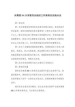 共青团XX大学委员会组织工作条例及实施办法.docx