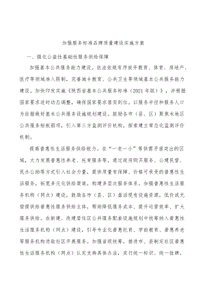 加强服务标准品牌质量建设实施方案.docx