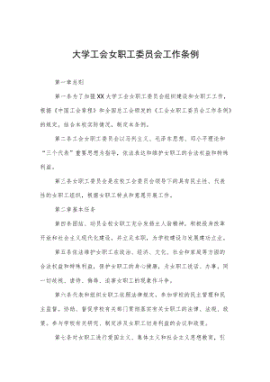 大学工会女职工委员会工作条例.docx