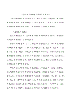 加快实施节能降碳改造升级实施方案.docx