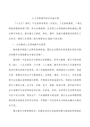 大力发展循环经济实施方案.docx