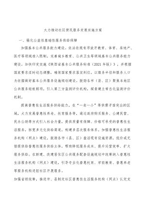 大力推动社区便民服务发展实施方案.docx