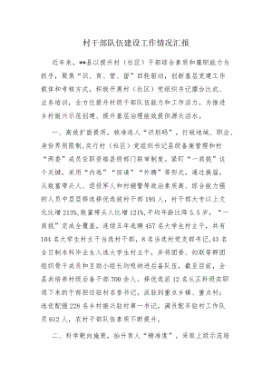 村干部队伍建设工作情况汇报.docx