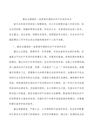 建设支撑国际一流营商环境的知识产权保护体系.docx