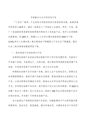开展重点行业升级改造示范.docx