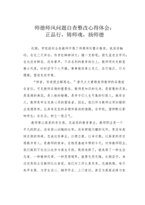 师德师风问题自查整改心得体会：正品行铸师魂扬师德.docx