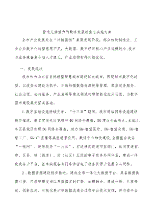 营造充满活力的数字发展新生态实施方案.docx