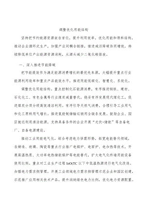 调整优化用能结构.docx
