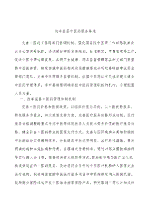 筑牢基层中医药服务阵地.docx