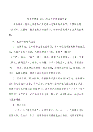 重点支持电池片环节加快发展实施方案.docx