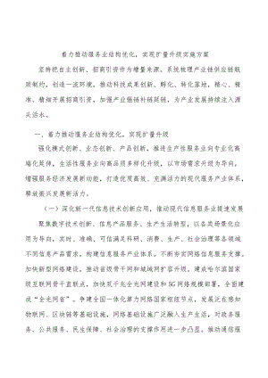着力推动服务业结构优化实现扩量升级实施方案.docx