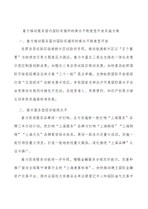 着力推动服务国内国际双循环的高水平制度型开放实施方案.docx