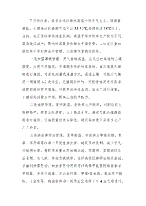 牧草夏季干旱时期生产管理技术要点.docx
