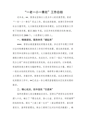 “一老一小一青壮”工作总结二.docx