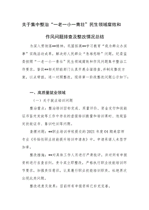 关于集中整治“一老一小一青壮”民生领域腐败和作风问题排查及整改情况总结.docx