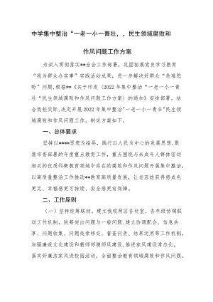 中学集中整治“一老一小一青壮”民生领域腐败和作风问题工作方案.docx