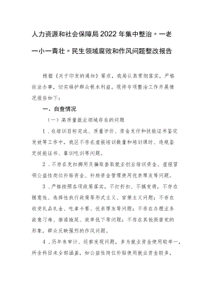 人力资源和社会保障局2022集中整治“一老一小一青壮”民生领域腐败和作风问题整改报告.docx