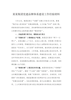 某某集团党建品牌体系建设工作经验材料.docx