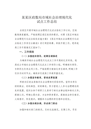 某某区政数局市域社会治理现代化试点工作总结.docx