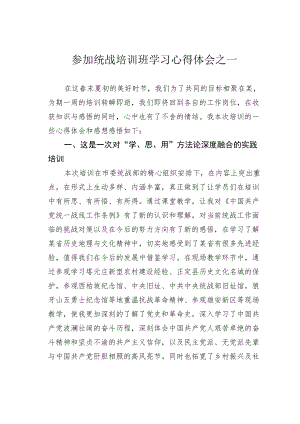 参加统战培训班学习心得体会之一.docx