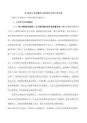 区2023上半重点工作总结下半工作计划.docx