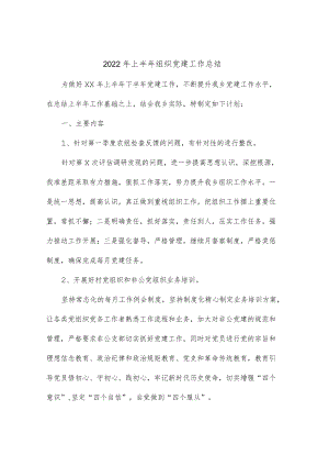 2022上半组织党建工作总结.docx
