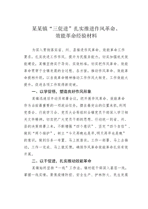 某某镇“三促进”扎实推进作风革命、效能革命经验材料.docx