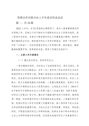 供销合作社联合社上半意识形态总结.docx