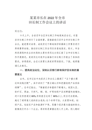 某某市长在2022全市田长制工作会议上的讲话.docx