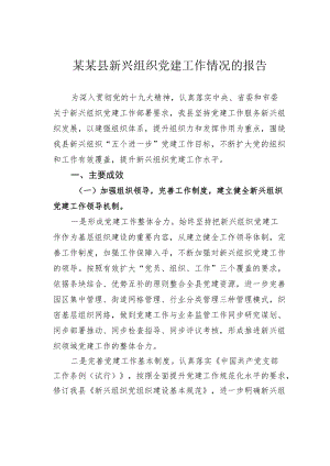 某某县新兴组织党建工作情况的报告.docx