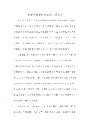 参加轻干部培训班心得体会.docx