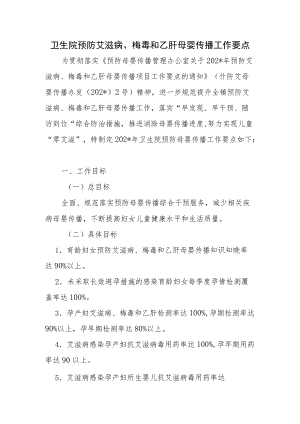 卫生院预防艾滋病、梅毒和乙肝母婴传播工作要点.docx