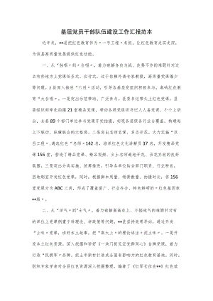 基层党员干部队伍建设工作汇报范本.docx