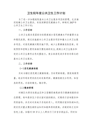 卫生院公共卫生工作计划.docx