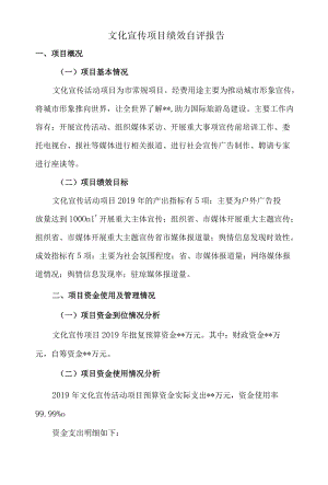 文化宣传项目绩效自评报告.docx